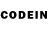 COCAIN Эквадор Novsety SecuritySistems