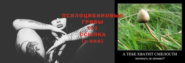 трава Магадан