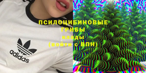 трава Магадан